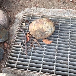 Space Rock from Davis